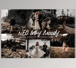 Download 15 Lightroom Presets Neo Inky Moody By EpicoMedia (Mob, Desk)
