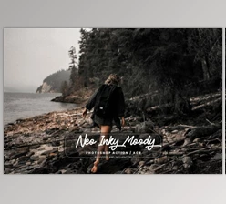 Download 15 Photoshop Actions ACR Inky Moody By EpicoMedia (atn, xmp)