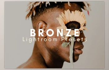 Download Bronze Lightroom Presets <span class='badge badge-warning'>Bundle</span> - CreativeMarket 6016467