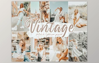 Download Vintage Lightroom Presets By Design Addict (PDF, <span class='badge badge-warning'>XMP</span>, DNG)