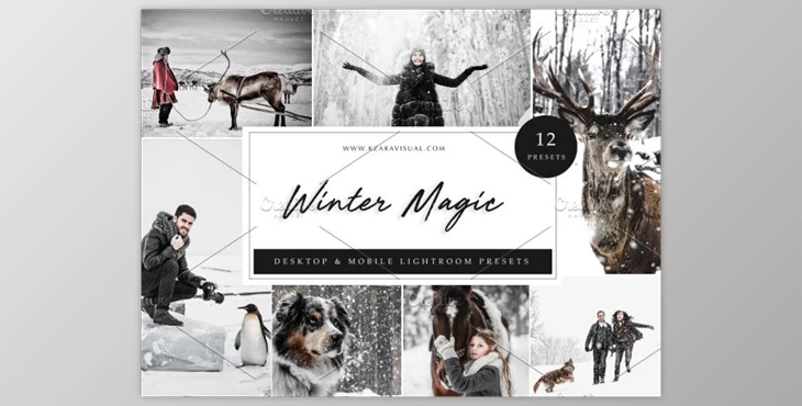 Download 12 x Lightroom Presets, Winter Magic By Kzara Visual Concepts
