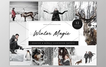 Download 12 x Lightroom Presets, Winter Magic By Kzara <span class='badge badge-warning'>Visual</span> Concepts