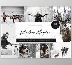 Download 12 x Lightroom Presets, Winter Magic By Kzara Visual Concepts