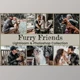 Download 15 Furry Friends Collection By EpicoMedia (Mob, Desk)