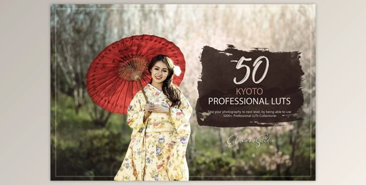 Download 50 Kyoto LUTs Pack By Eldamar Studio