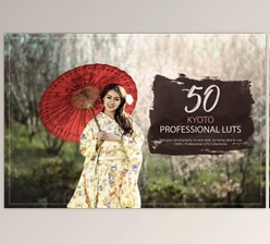 Download 50 Kyoto LUTs Pack By Eldamar Studio