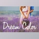 Download Dream Color Lightroom Presets By Presets Galore