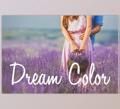 Download Dream Color Lightroom Presets By Presets Galore