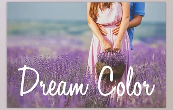 Download Dream Color Lightroom <span class='badge badge-warning'>Presets</span> By <span class='badge badge-warning'>Presets</span> Galore