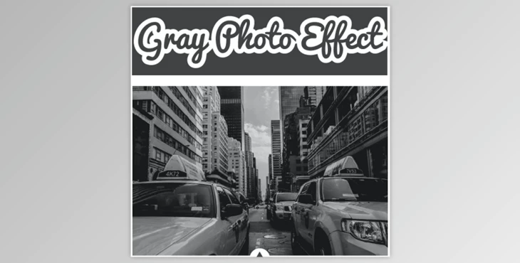 Download Gray Photo Effect by Strikin