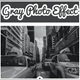 Download Gray Photo Effect by Strikin