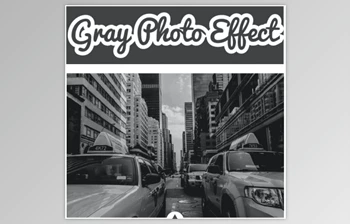 Download Gray Photo Effect by <span class='badge badge-warning'>Strikin</span>