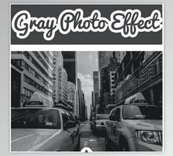 Download Gray Photo Effect by Strikin
