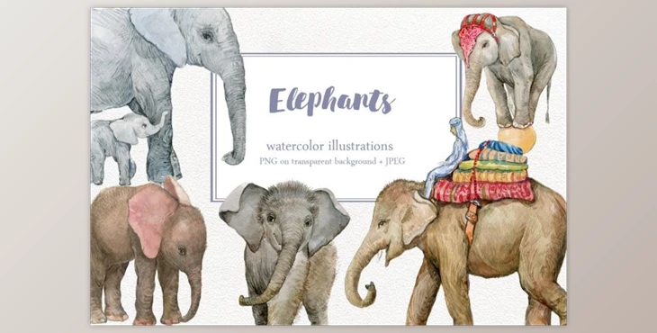 Download Elephants Watercolor Illustrations By MitrushovaArt