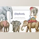 Download Elephants Watercolor Illustrations By MitrushovaArt