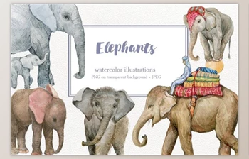 Download Elephants Watercolor <span class='badge badge-warning'>Illustrations</span> By MitrushovaArt
