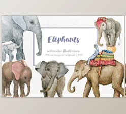 Download Elephants Watercolor Illustrations By MitrushovaArt