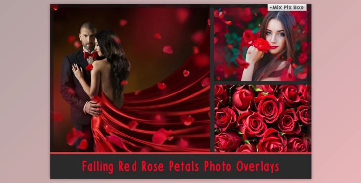 Download Falling Rose Petals Photo Overlays By MixPixBox