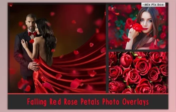 Download Falling Rose Petals <span class='badge badge-warning'>Photo</span> Overlays By MixPixBox