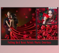 Download Falling Rose Petals Photo Overlays By MixPixBox