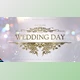 Download Wedding (Videohive 32093861) - AE Project