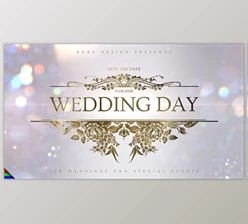 Download Wedding (Videohive 32093861) - AE Project