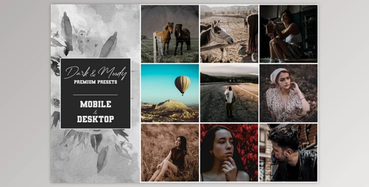 Download Dark and Moody Premium Presets By Voleshads (xmp, lrtemplate, dng)