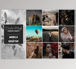 Download Dark and Moody Premium Presets By Voleshads (xmp, lrtemplate, dng)