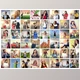 Download Collage Photo Display Action V1 (JPG, ATN)