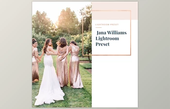 Download Jana <span class='badge badge-warning'>Williams</span> Lightroom <span class='badge badge-warning'>Presets</span> (LRTemplate)