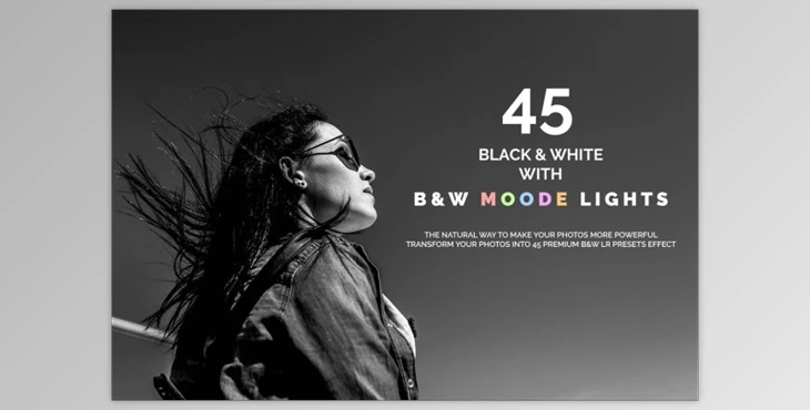 Download 45 B&W & B&W Moody Lights LR Presets By Creative Creator