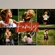 Download The Family Lightroom Preset Collection by Signature Edits
