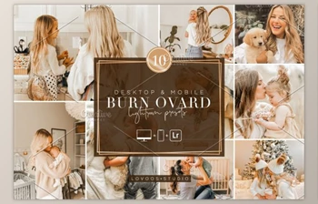Download BURN OVARD – Lightroom Presets By Lovoos <span class='badge badge-warning'>Studio</span>