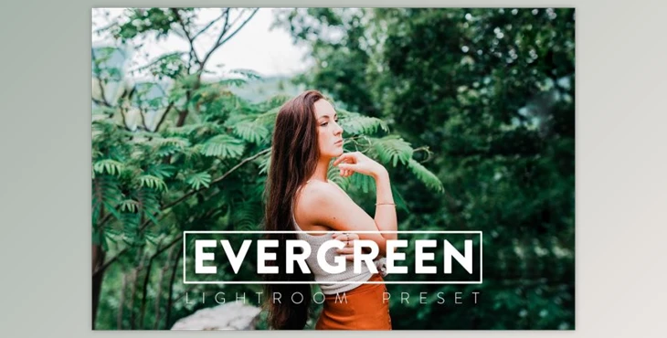 Download 10 EVERGREEN Lightroom Presets By CCPreset (LRTEMPLATE, XMP, DNG)