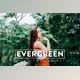 Download 10 EVERGREEN Lightroom Presets By CCPreset (LRTEMPLATE, XMP, DNG)
