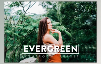 Download 10 <span class='badge badge-warning'>EVERGREEN</span> Lightroom Presets By CCPreset (LRTEMPLATE, XMP, DNG)