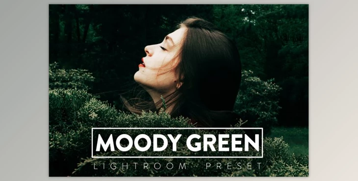 Download 10 MOODY GREEN Lightroom Preset (LRTEMPLATE, XMP, DNG)