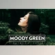 Download 10 MOODY GREEN Lightroom Preset (LRTEMPLATE, XMP, DNG)