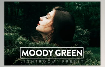 Download 10 MOODY GREEN Lightroom Preset (LRTEMPLATE, <span class='badge badge-warning'>XMP</span>, DNG)