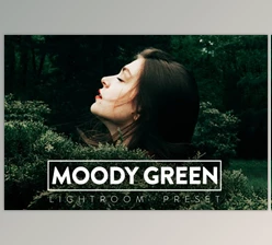 Download 10 MOODY GREEN Lightroom Preset (LRTEMPLATE, XMP, DNG)