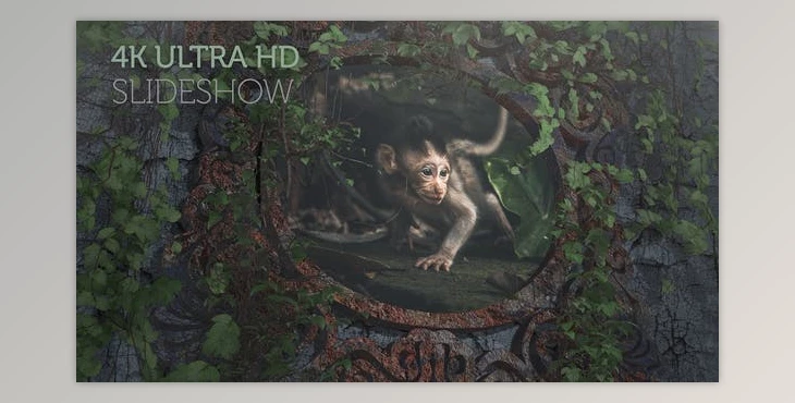 Download Epic Travel Slideshow (4K) (Videohive 32518355) - PR Project