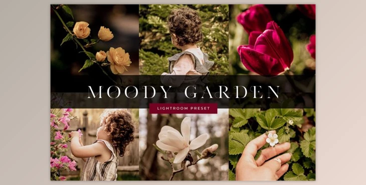 Download Moody Garden Lightroom Preset By Phillip St. Design Studio