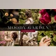 Download Moody Garden Lightroom Preset By Phillip St. Design Studio