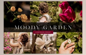 Download Moody Garden Lightroom Preset By Phillip St. Design <span class='badge badge-warning'>Studio</span>