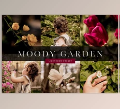 Download Moody Garden Lightroom Preset By Phillip St. Design Studio
