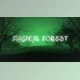 Download Magical Forest Titles (Videohive 4308765) - AE Project