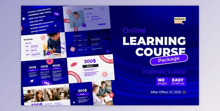Download Online learning course Package (Videohive 31455264) - AE Project