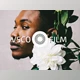 Download VSCO Film Lightroom Presets Bundle By Rapita Photography