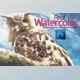 Download Real Watercolor – Photoshop Action By Creative Graphics (ATN)