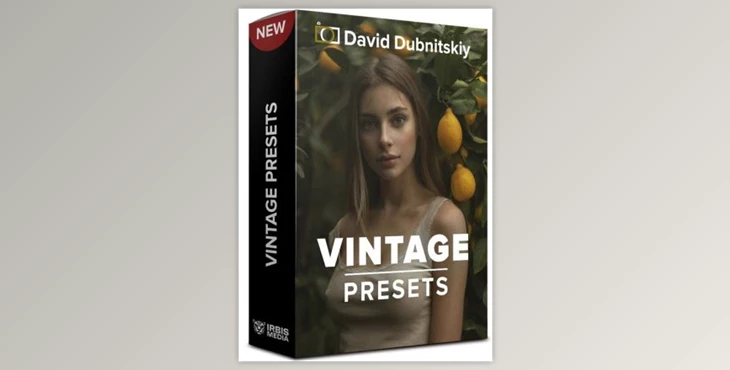 Download David Dubnitskiy – 20 Vintage Presets (XMP)